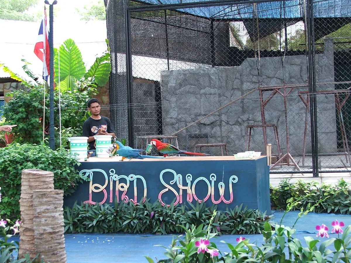 Площадка шоу птиц в Samui Aquarium and Tiger Zoo.